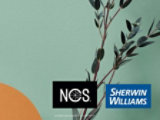 NCS Colour Trends 2022+