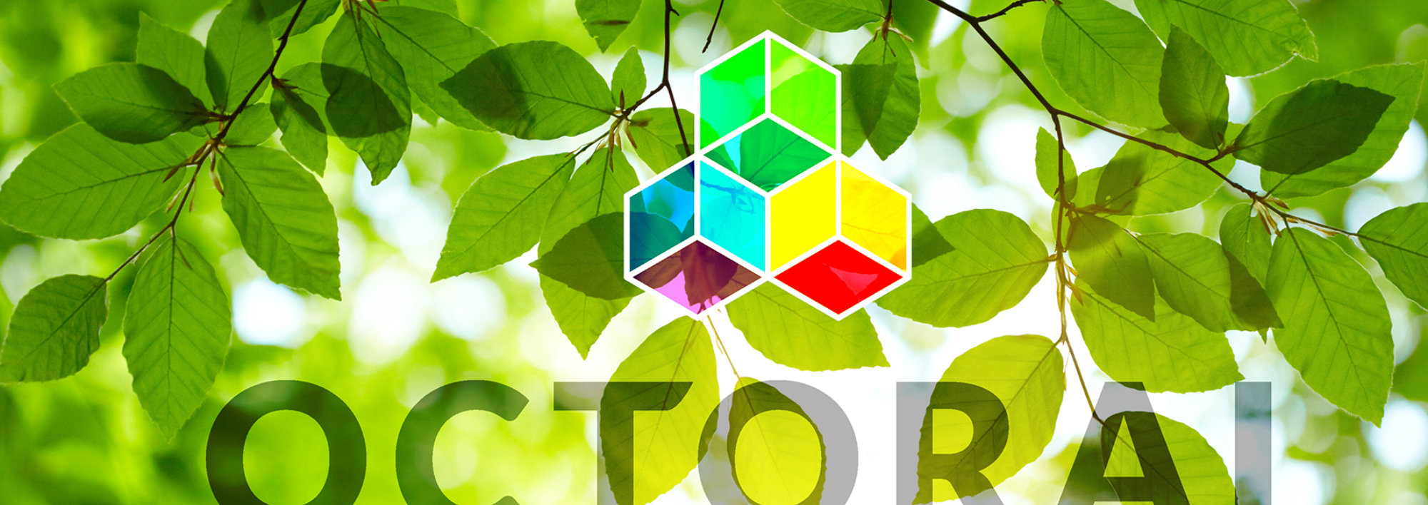 Octoral logo on leaves