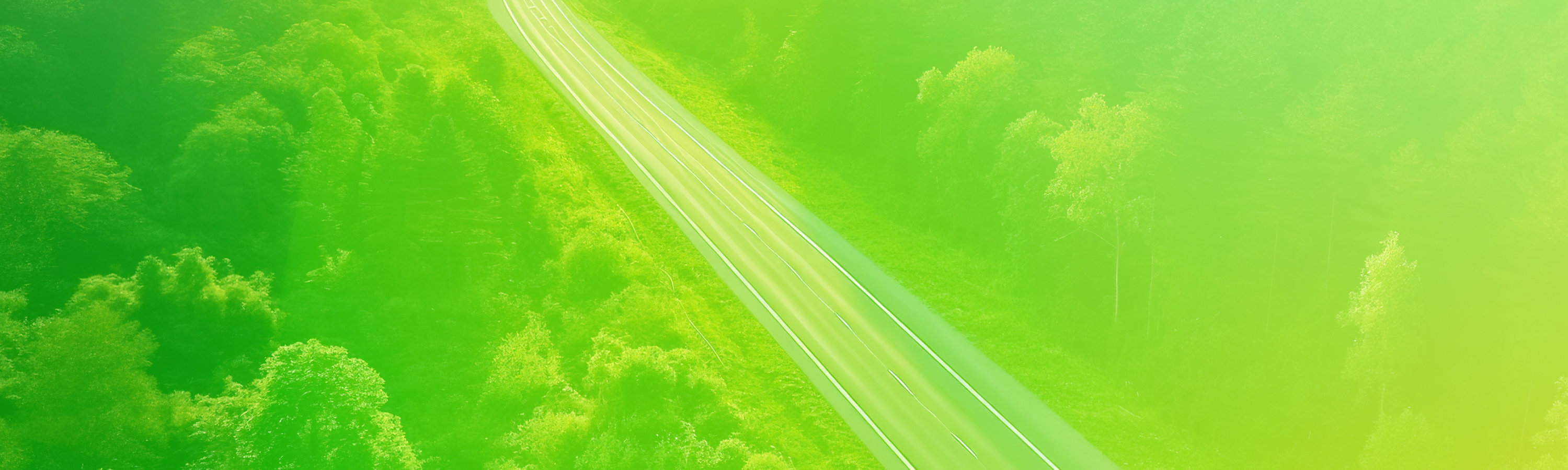 Wide shot of a road through the forest with a green tint and a green car driving to the horizon