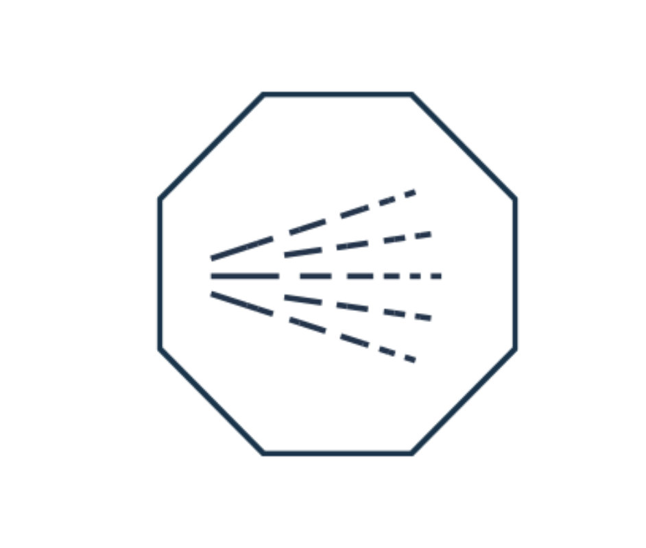 Rapid application