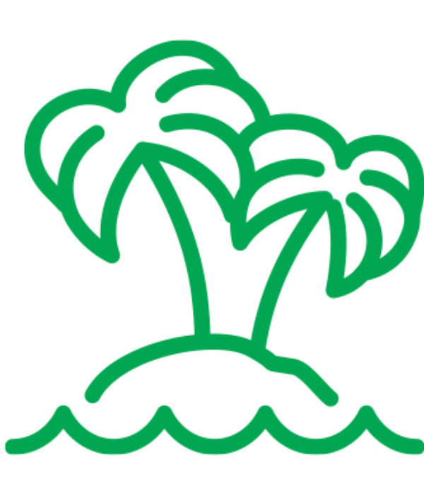 Palm tree remote island icon