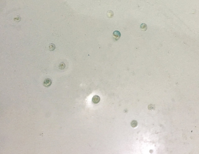 Outgas bubbles in resinous floor