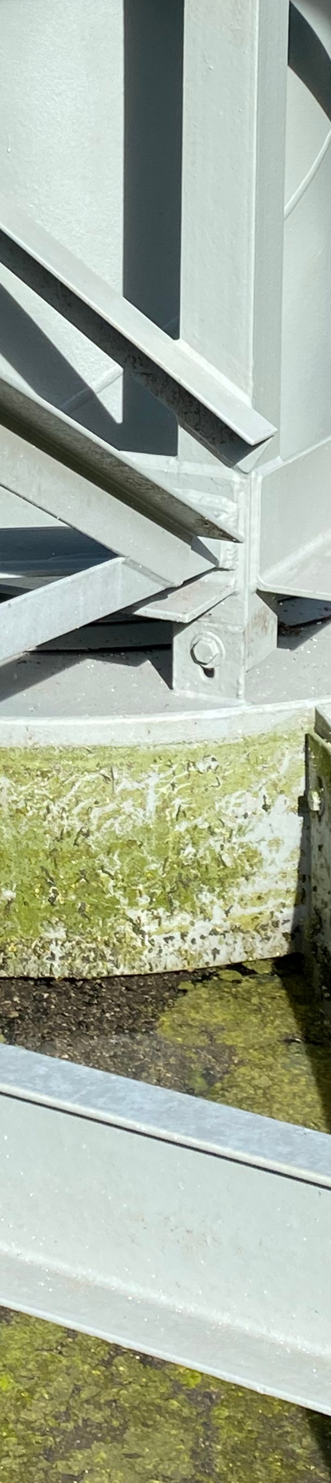 Clarifier rake arm with algae in water