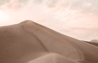 sand desert with a light pink sky.