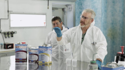 Reparación de capa transparente: recién pintada