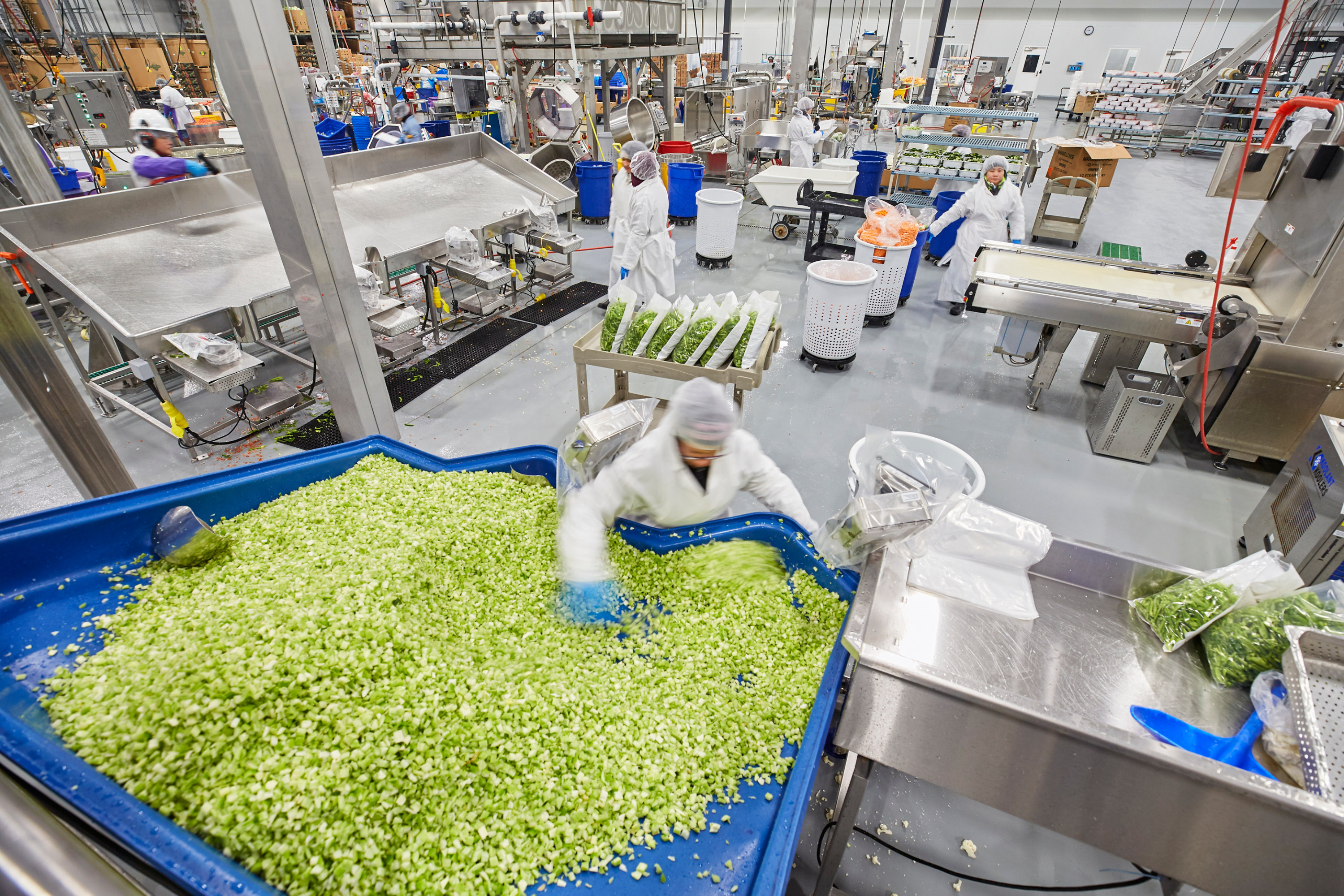 Resin floor in food processing facility