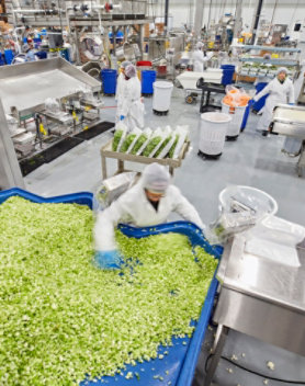 An employee working on a bottle packaging line