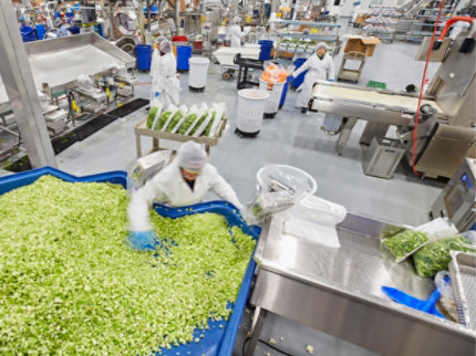 Urethane Slurry Flooring System at Food Processing Facility