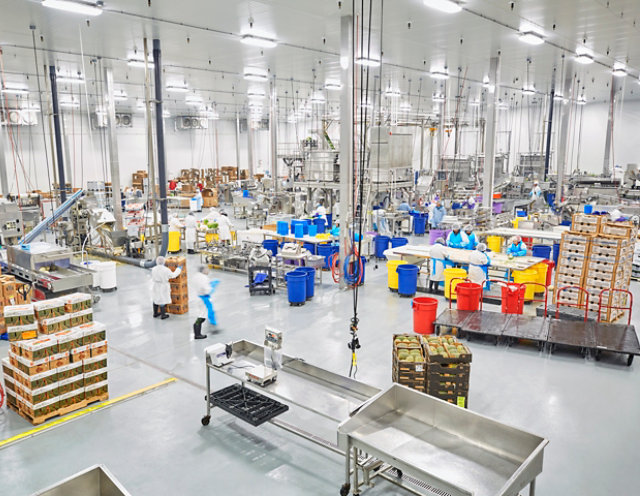 Resin Floor in Food Processing Facility