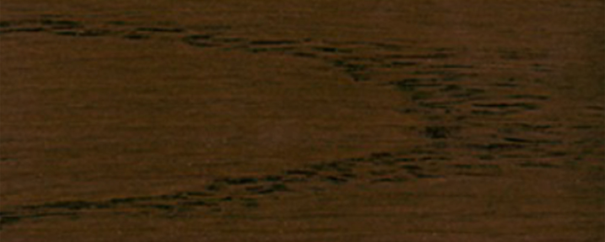 swg016534