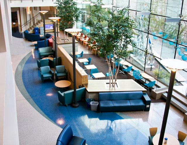 Terrazzo Floor in Hospital Lobby