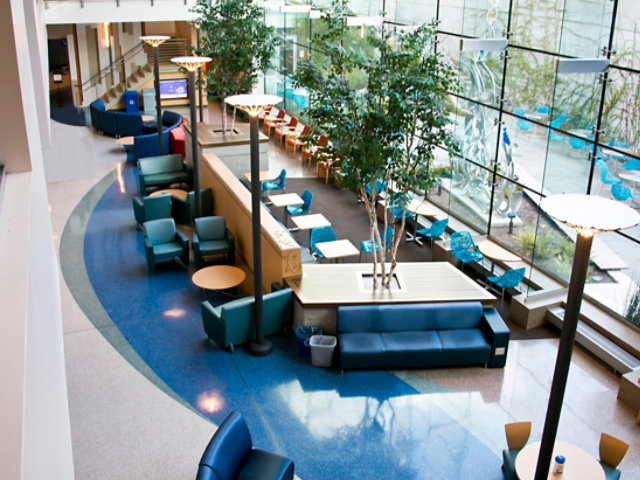 Terrazzo Floor in Hospital Lobby