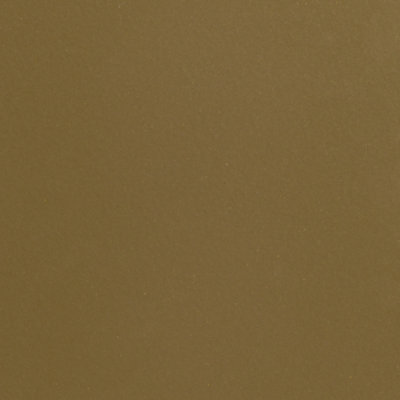 Light Bronze 543 (VDL1E0024)