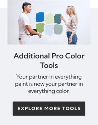 Additional Pro Color Tools. Your partner in everything paint in now your partner in everything. Explore more tools.