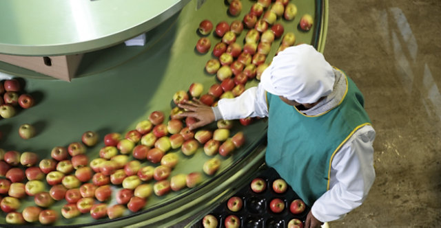 factory worker at apple processing plant