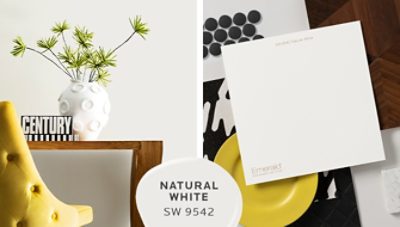 Detail shot of modern wooden table with yellow tufted chair, white vase filled with greenery in front of a Natural White wall; an inspirational mood board using Natural White.