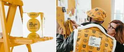 Closeup of paint can on a step ladder with The Loneliest Color logo on the label. Sue Wadden and Dapper Dan looking at fabric swatches on a moodboard.