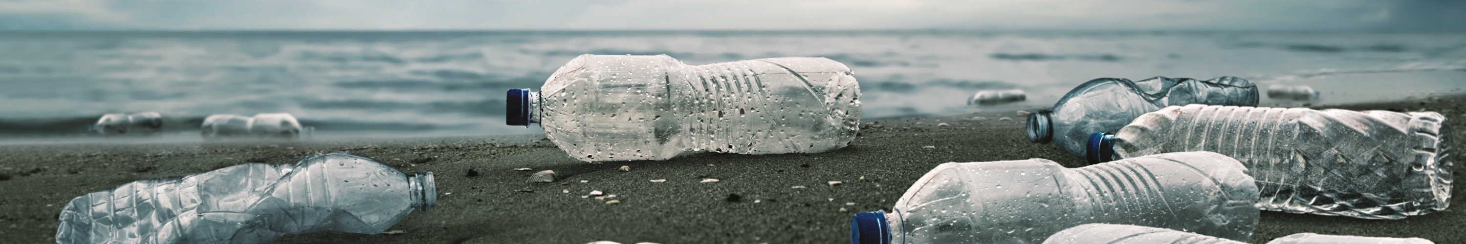 Plastic bottle waste washed up on a beach