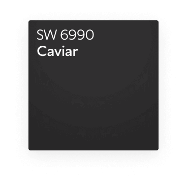 Color chip of Caviar SW 6990.