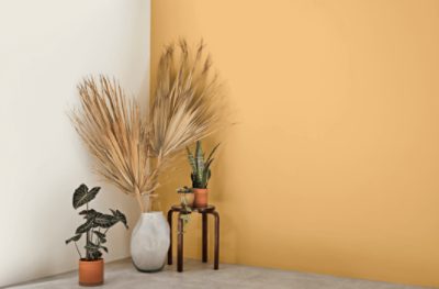 Wall painted in Tarnished Trumpet SW 9026.