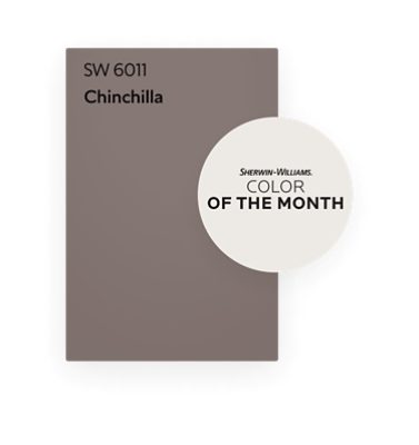 Color chip of Chinchilla SW 6011, color of the month.