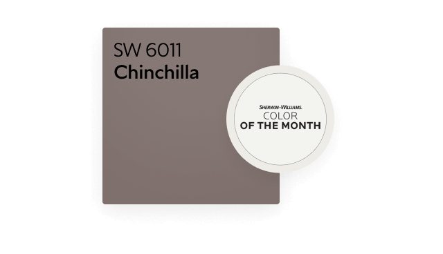 Chinchilla November 2024 Color of the Month | Sherwin-Williams