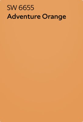 A color chip of SW 6655 Adventure Orange.