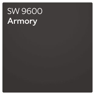 Color chip of Armory SW 9600.