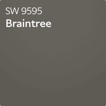 Color chip of SW 9595 Braintree.