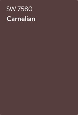 Color chip of Carnelian SW 7580.