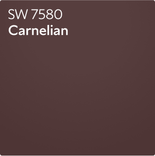 A color chip for Carnelian SW 7580.