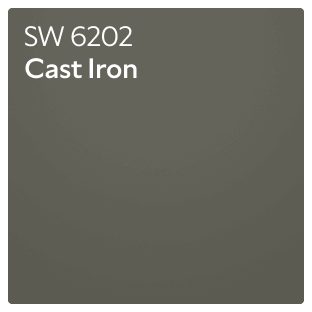 Color chip of Cast Iron SW 6202.