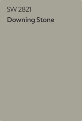 Color chip of Downing Stone SW 2821.