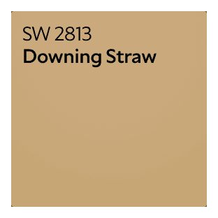 A Sherwin-Williams Color Chip for Downing Straw SW 2813.