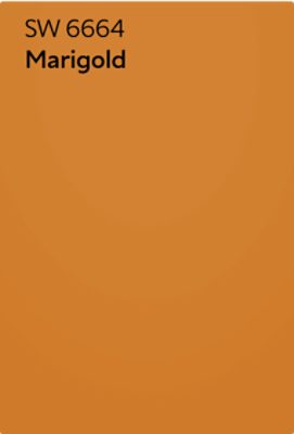A Sherwin-Williams Color Chip for Marigold SW 6664.