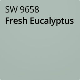 Color chip of Fresh Eucalyptus SW 9658.