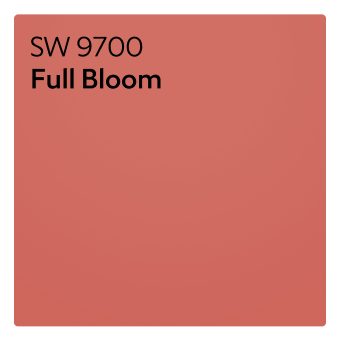 A color chip of SW 9700 Full Bloom.