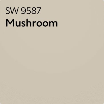 Color chip of SW 9587 Mushroom.