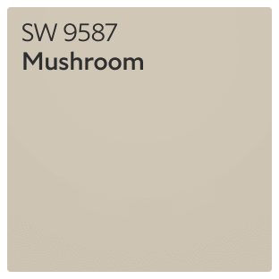 Color chip of Mushroom SW 9587.