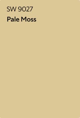 Color chip of Pale Moss SW 9027.