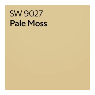 Color chip of Pale Moss SW 9027.