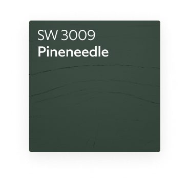 A color chip for SW 3009 Pineneedle.