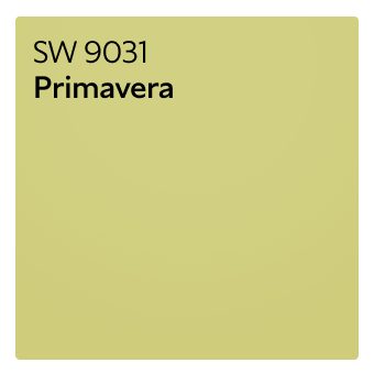 A color chip of SW 9031 Primavera.