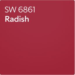 A color chip of SW 6861 Radish.