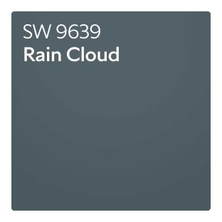 SW 9639 Rain Cloud.