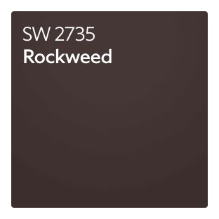 Color chip of Rockweed SW 2735.