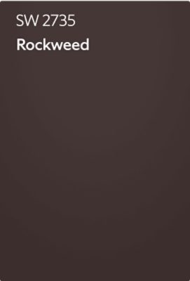 Color chip of Rockweed SW 2735.