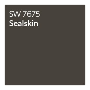 Color chip of SW 7675 Sealskin.