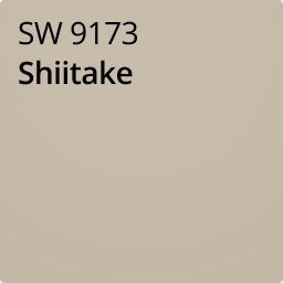 Color chip of Shiitake SW 9173.