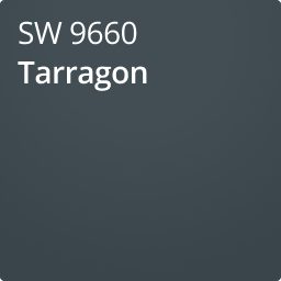 Color chip of Tarragon SW 9660.